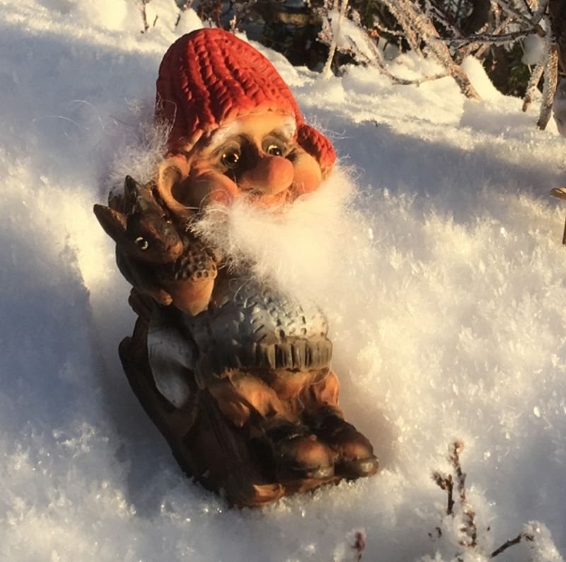 Ny Form Santa with sledge