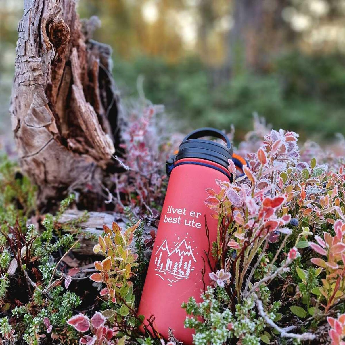 Thermo flask, 